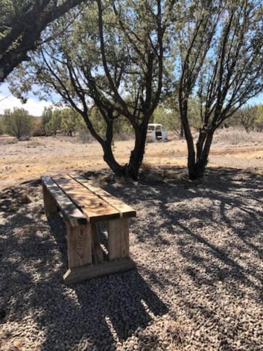 Cottonwood Creek Cabins - Alpine, Tx Ngoại thất bức ảnh