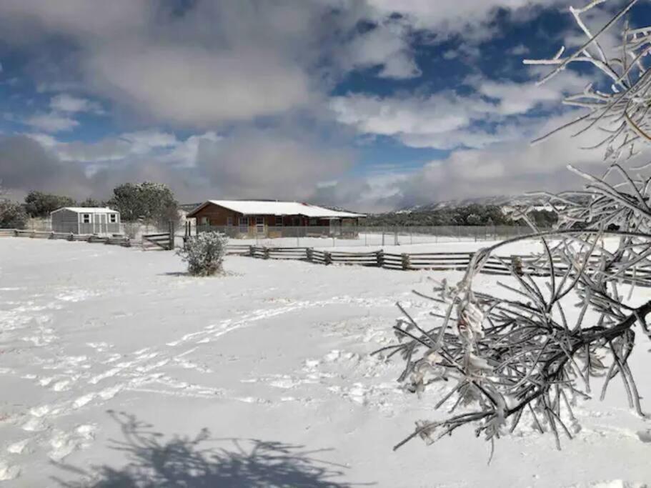 Cottonwood Creek Cabins - Alpine, Tx Ngoại thất bức ảnh