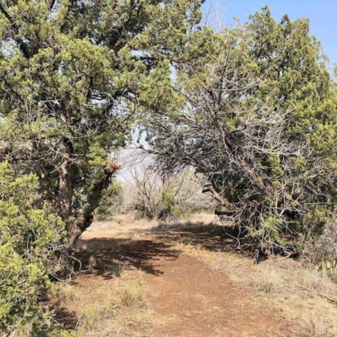 Cottonwood Creek Cabins - Alpine, Tx Ngoại thất bức ảnh